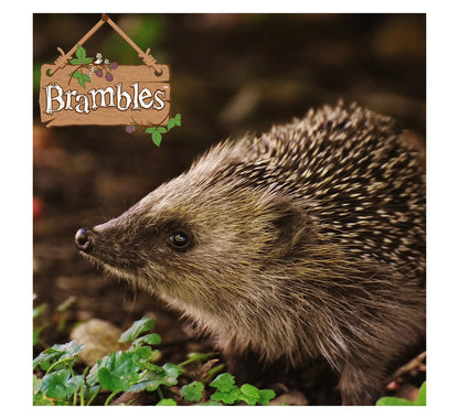 Brambles Semi-moist Hedgehog Food  850g