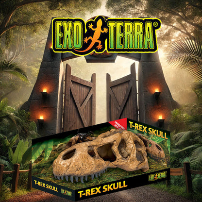 Exo Terra T-Rex Skull Fossil Hide Out