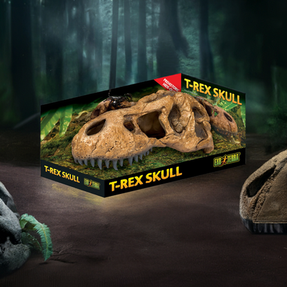 Exo Terra T-Rex Skull Fossil Hide Out