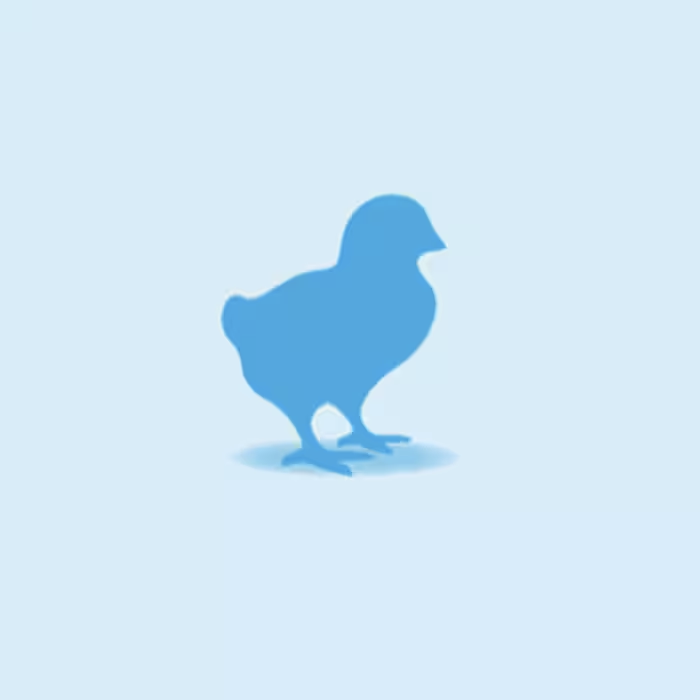 Silhouette of a blue chick icon on a light blue background, representing frozen chicks used as feed for reptiles, birds of prey, and other carnivorous Pets