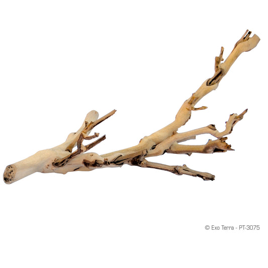 Exo Terra Forest Branch - Sandblasted Grapevine - Small, Medium and Large