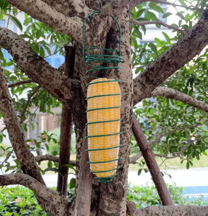 Spiral Peanut Feeder