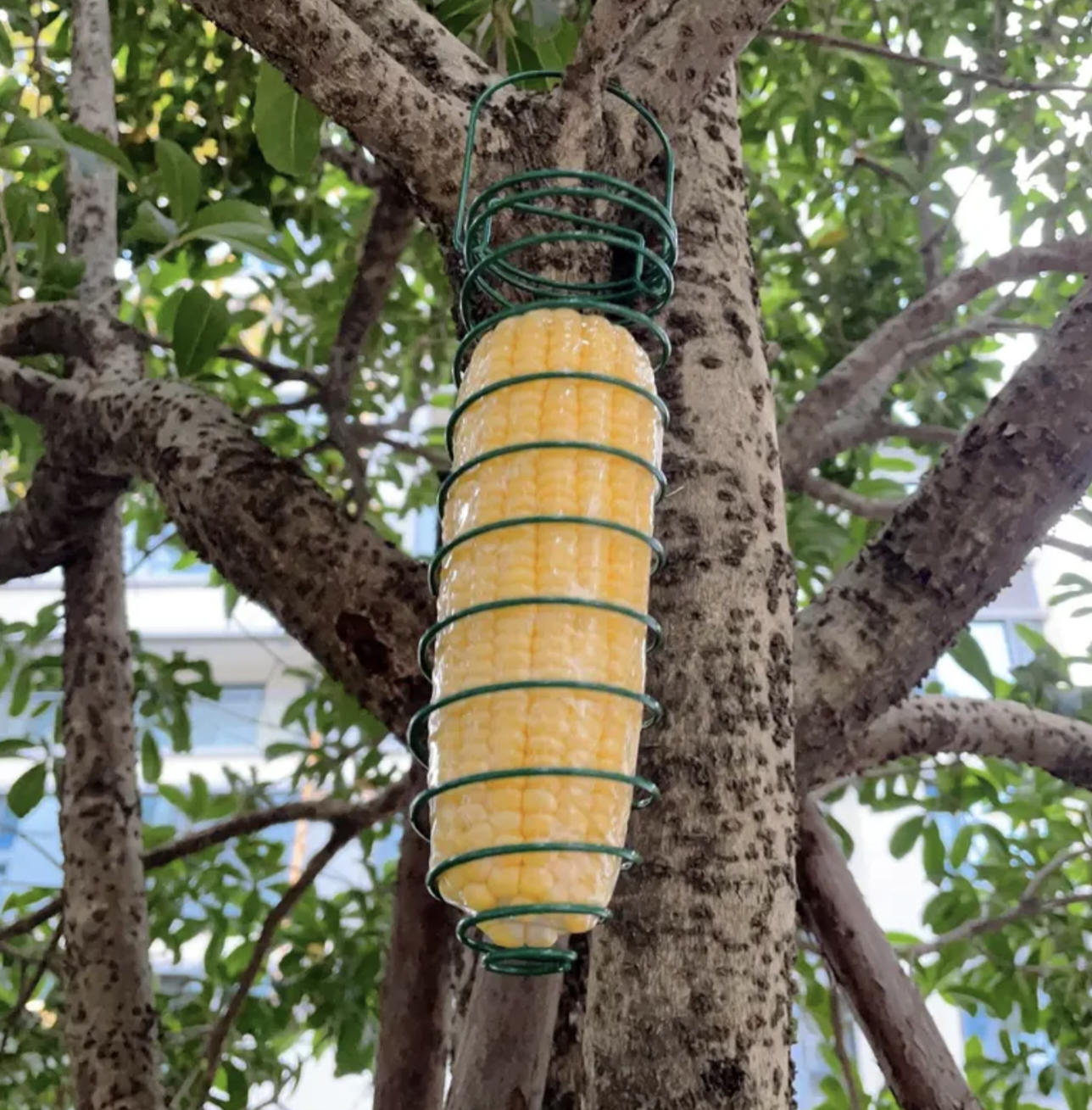 Spiral Peanut Feeder