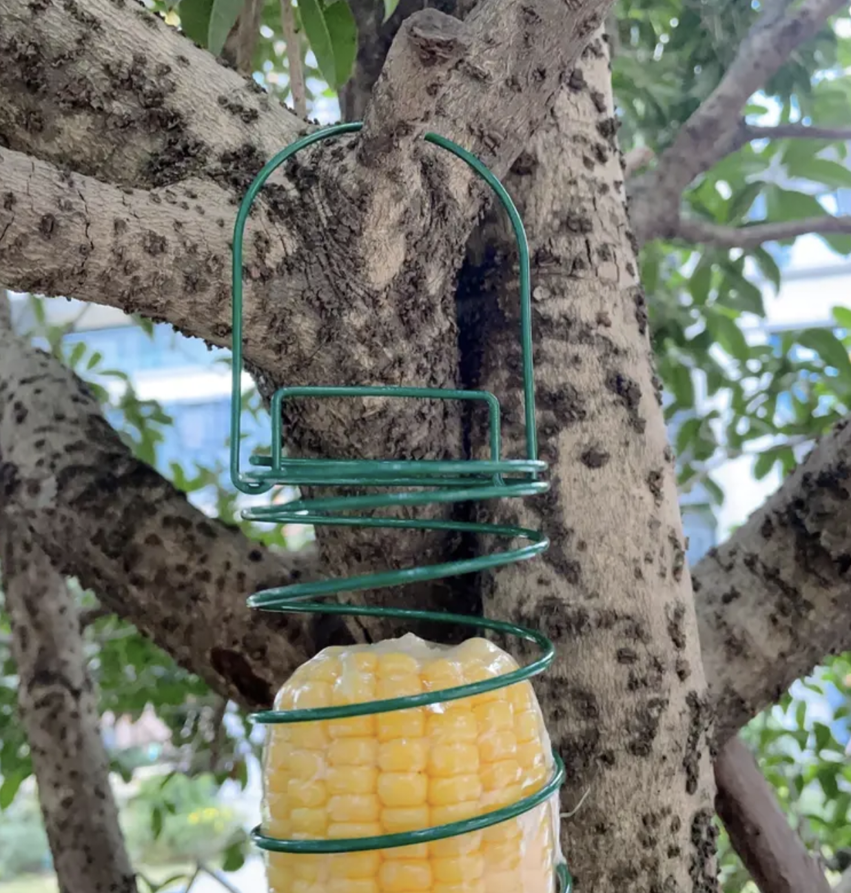 Spiral Peanut Feeder