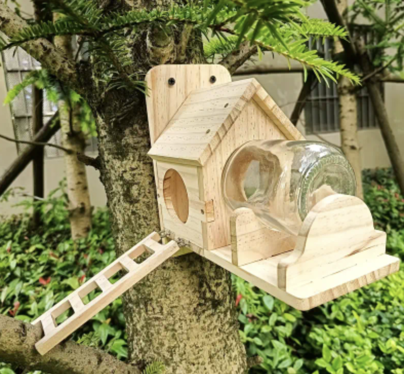 Mason Jar Squirrel Feeder