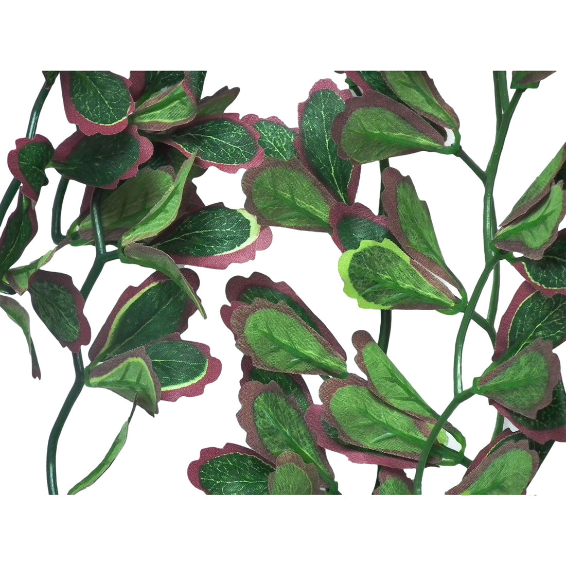 Vivarium Silk Plant Red Croton Small Bulk Buy x24