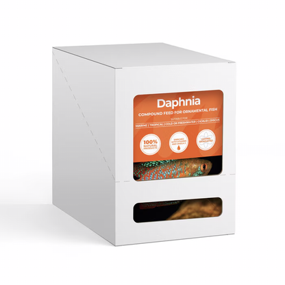 Daphnia