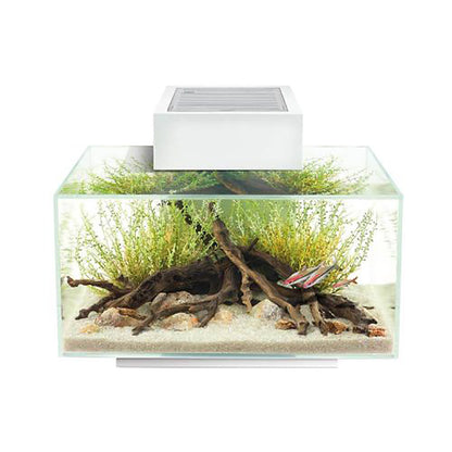 Fluval Edge 2.0 Aquarium Kit 23ltr or 46ltr