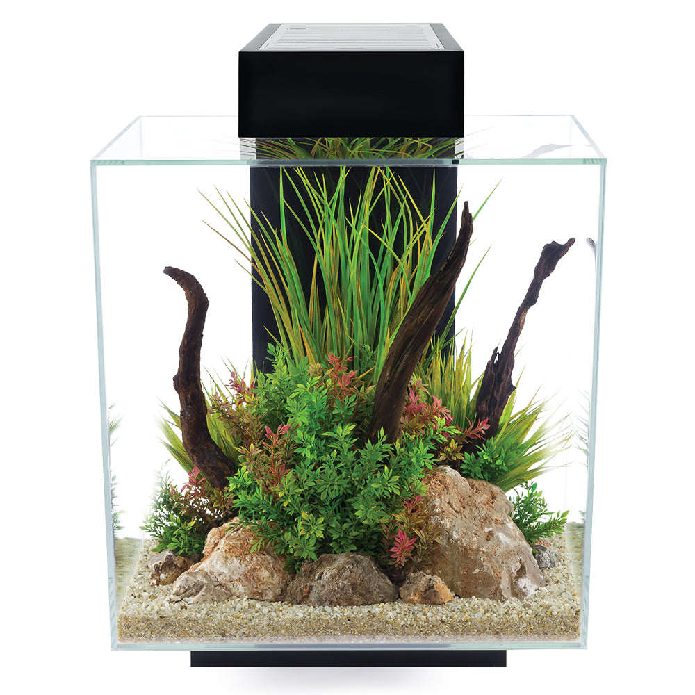 Fluval Edge 2.0 Aquarium Kit 23ltr or 46ltr