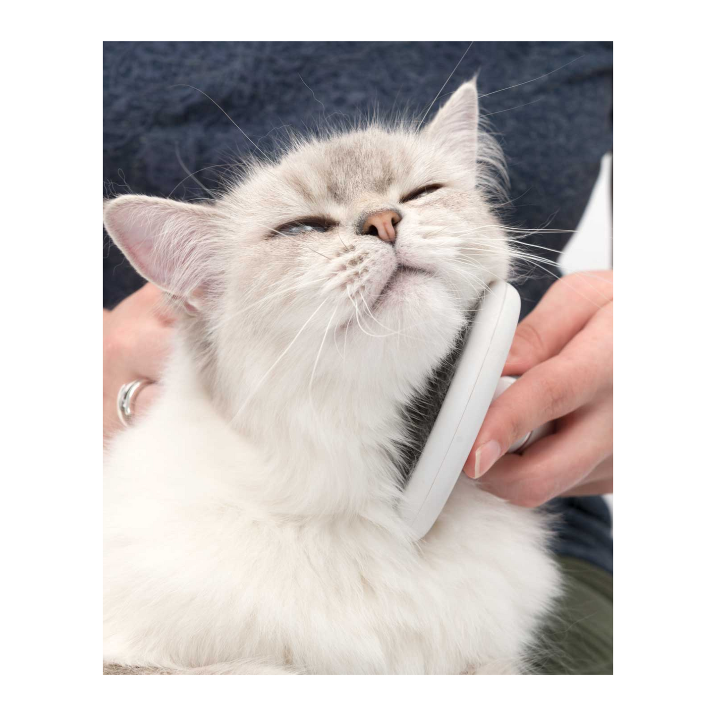 Catit 2.0 Longhair Grooming Kit