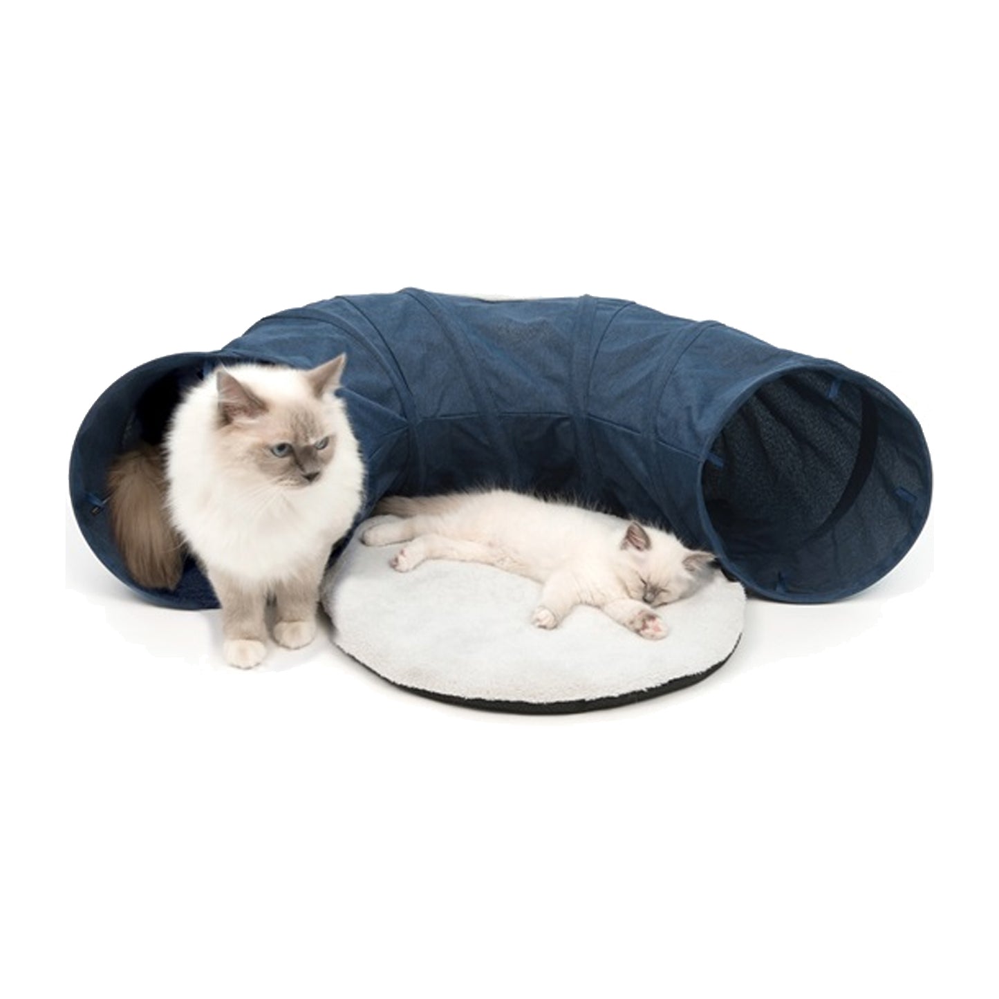 Vesper Peek-a-Boo Tunnel with Cushion - Blue or Grey