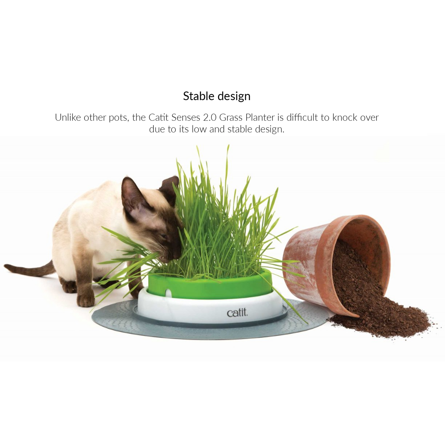 Catit Senses 2.0 Grass Planter