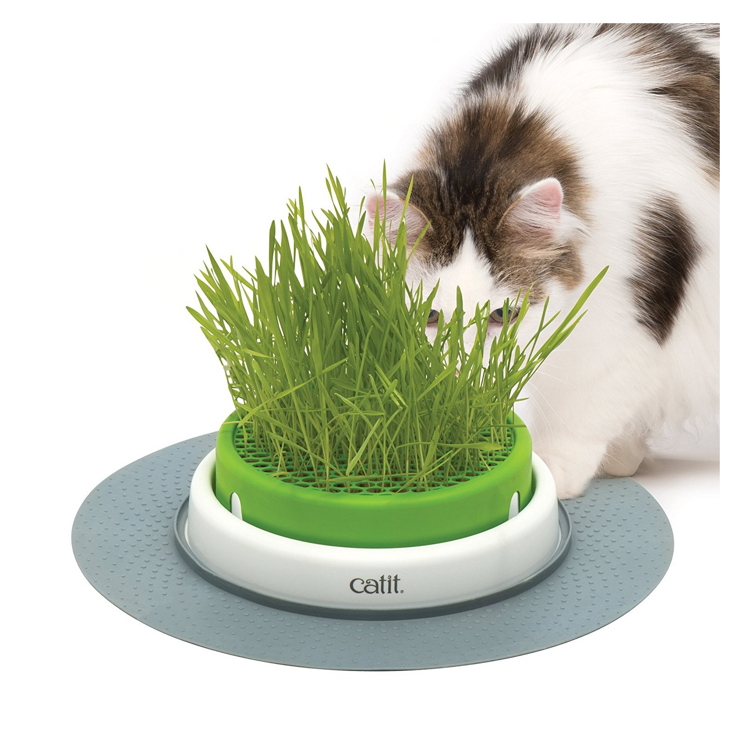 Catit Senses 2.0 Grass Planter