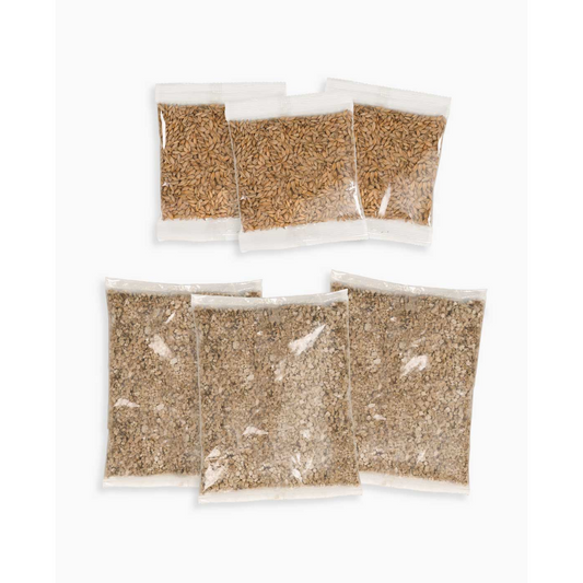 Catit 2.0 Cat Grass Kit