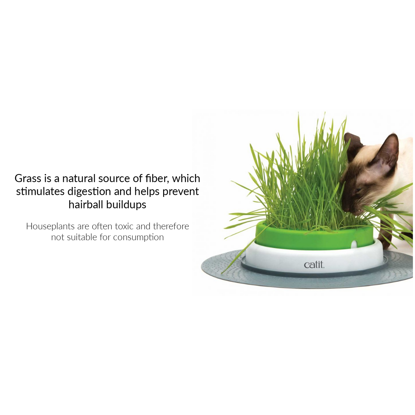 Catit 2.0 Cat Grass Kit