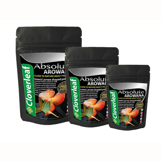 Cloverleaf Absolute Arowana Insect Diet