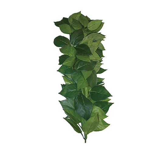 Komodo Ficus Silk Hanging Vine 35cm