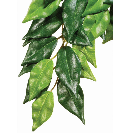 Exo Terra Silk Plant Ficus