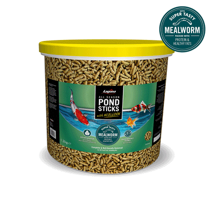 Laguna All Season Pond Sticks 120g 600g 1.2kg