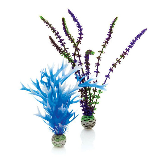 biOrb colour pack medium blue/purple 20cm/ 29cm