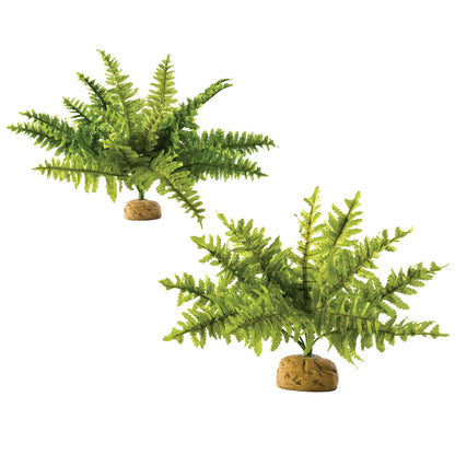 Exo Terra Boston Fern Plant - Small or Medium