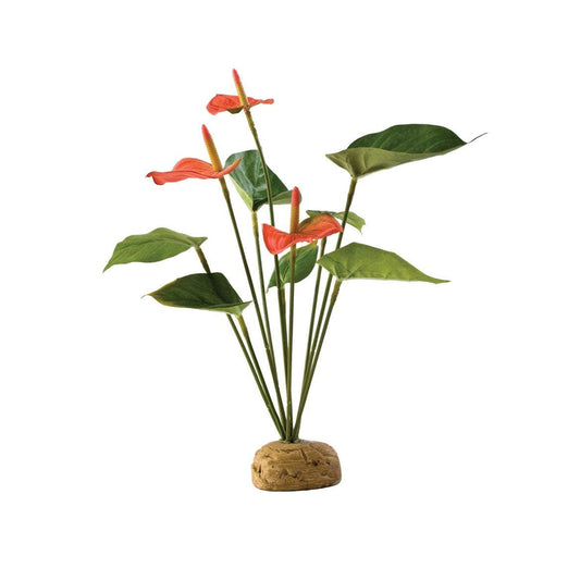 Exo-Terra Anthurium Bush