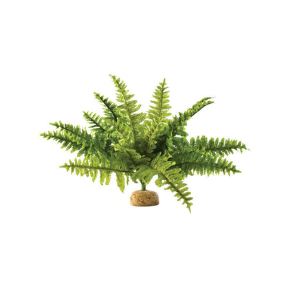 Exo Terra Boston Fern Plant - Small or Medium