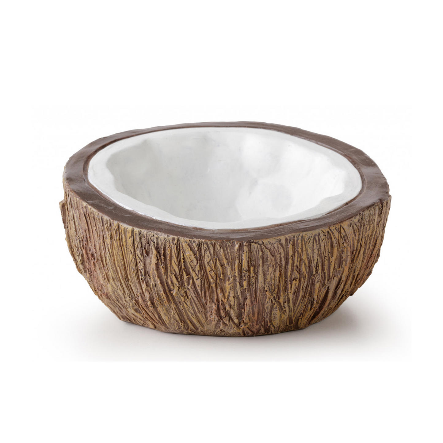 Exo Terra Tiki Coconut Water Dish