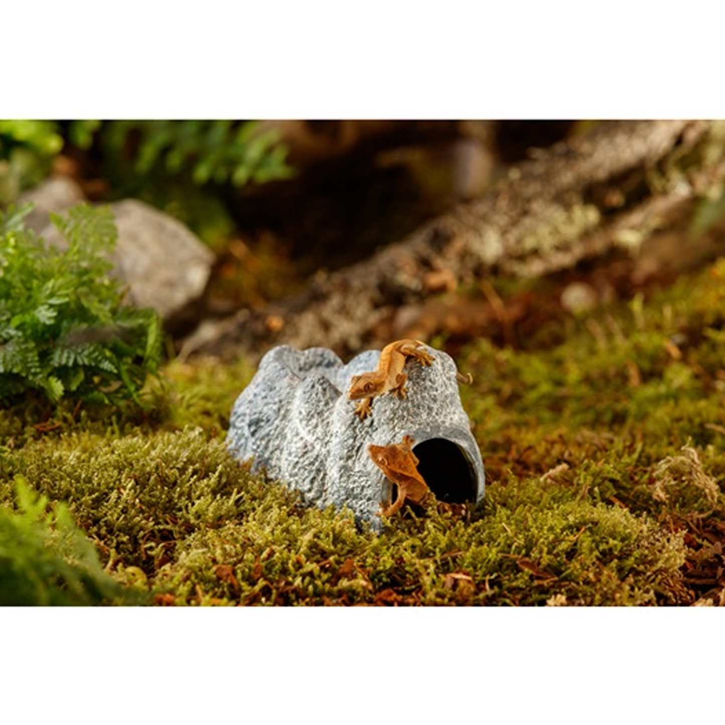 Exo Terra Wet Rock Cave - Small / Medium / Large